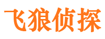 泉港市调查公司